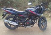 Pulsar SD 2018 model