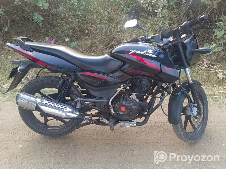 Pulsar SD 2018 model