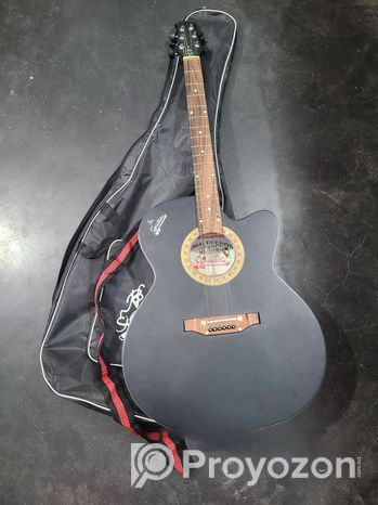 Singnature Original Guitar