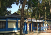 বড় পরিবার নিয়ে থাকার মতো নিরিবিলি বাসা
