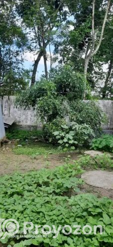 বাড়ি ভাড়া দেওয়া হবে