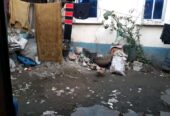 খুলনা খালিশপুর পার্ক সংলগ্ন ২৫ ফিট রোডের সাথে বাড়ি সহ পৌনে ২