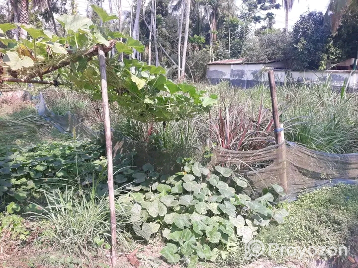 খুলনা মহেশ্বরপাশা কার্তিকেরকুল নিকট সাড়ে ৯ শতক জমি বিক্রয় হবে