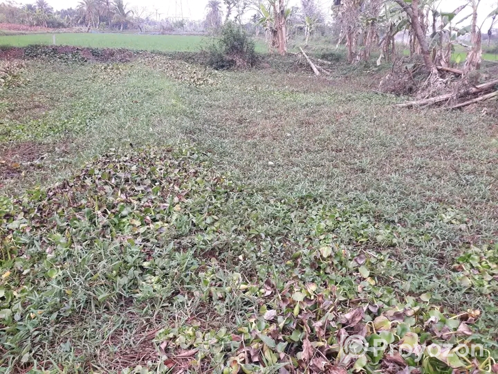 খুলনা আড়ংঘাটা এ ৪ শতক জমি বিক্রয় হবে