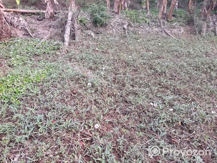 খুলনা আড়ংঘাটা এ ৪ শতক জমি বিক্রয় হবে