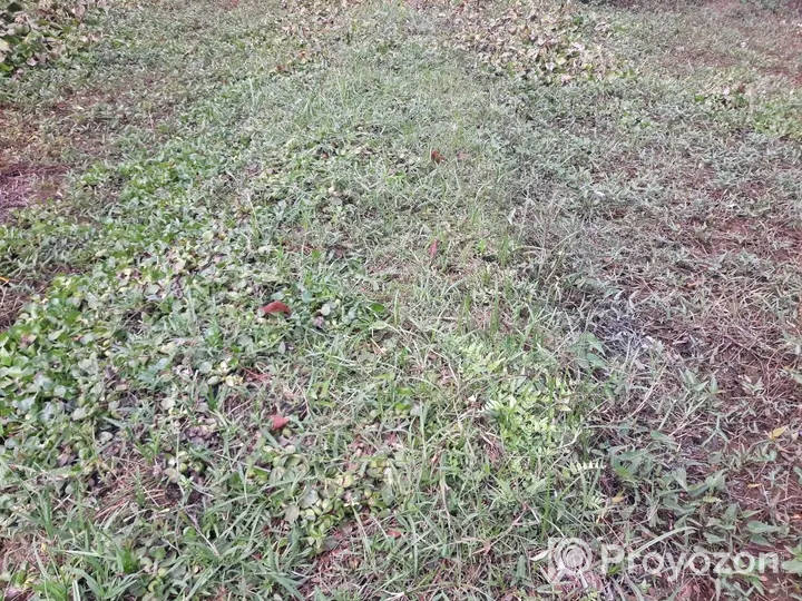 খুলনা আড়ংঘাটা এ ৪ শতক জমি বিক্রয় হবে