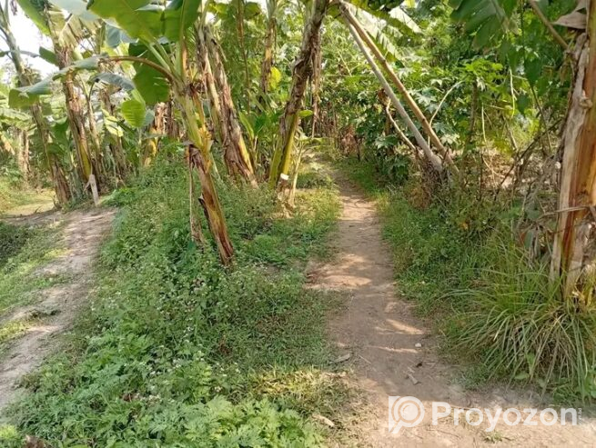 জমি বিক্রয় করা হবে