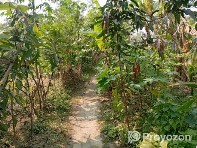জমি বিক্রয় করা হবে