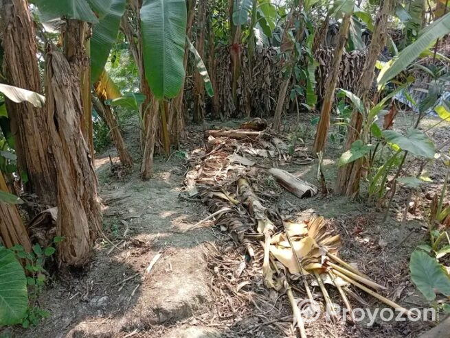 জমি বিক্রয় করা হবে