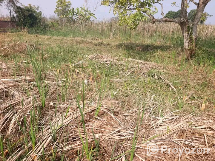 খুলনা আবুনাসের লিংক রোডের পাশে ১৪.৮৫ শতক জমি বিক্রয় হবে