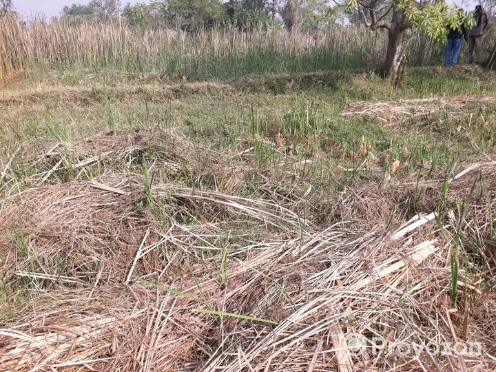 খুলনা আবুনাসের লিংক রোডের পাশে ১৪.৮৫ শতক জমি বিক্রয় হবে