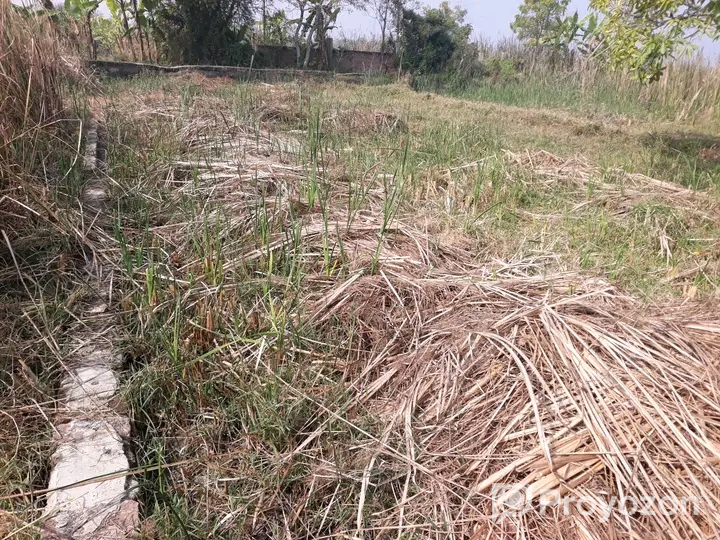 খুলনা আবুনাসের লিংক রোডের পাশে ১৪.৮৫ শতক জমি বিক্রয় হবে