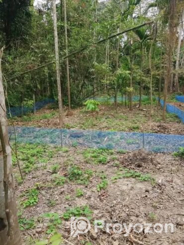 ফুলতলায় ৩ কাঠা জমি বিক্রি করা হবে