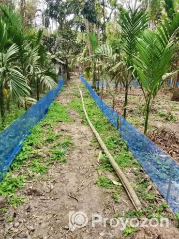 ফুলতলায় ৩ কাঠা জমি বিক্রি করা হবে