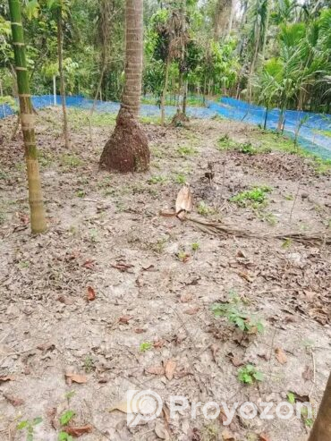 ফুলতলায় ৩ কাঠা জমি বিক্রি করা হবে