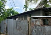 মোংলা শেহলাবুনিয়াতে ৩ কাটা জমিসহ বসতবাড়ি বিক্রি করা হবে