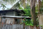 মোংলা শেহলাবুনিয়াতে ৩ কাটা জমিসহ বসতবাড়ি বিক্রি করা হবে