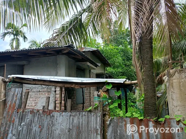 মোংলা শেহলাবুনিয়াতে ৩ কাটা জমিসহ বসতবাড়ি বিক্রি করা হবে