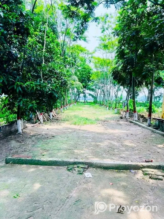 হেমায়েতপুরে জামি বিক্রি করা হবে