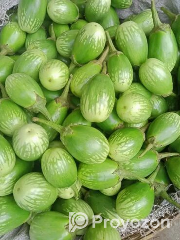 সাশ্রয়ী মূল্যে বাজার করুন বাড়ি থেকে।