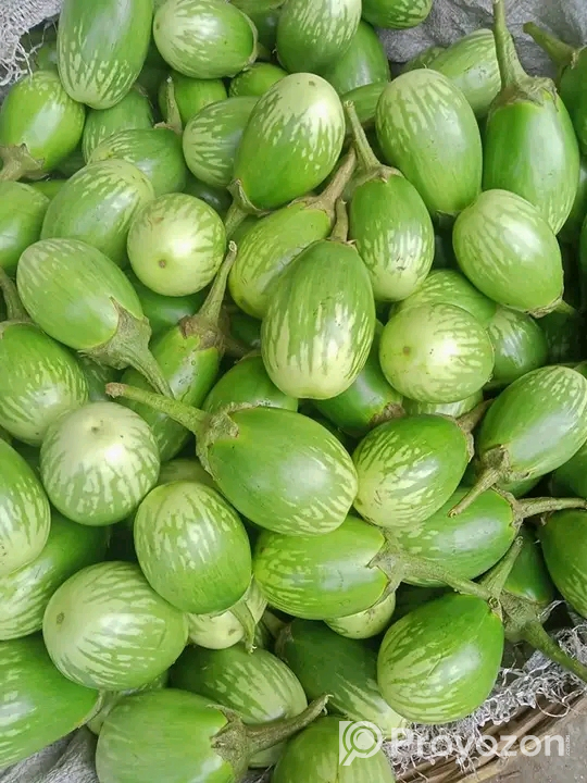 সাশ্রয়ী মূল্যে বাজার করুন বাড়ি থেকে।