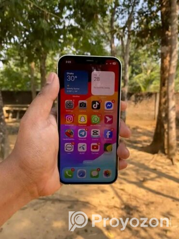 iPhone 12 6/64Gb (Used)