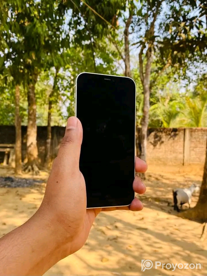 iPhone 12 6/64Gb (Used)