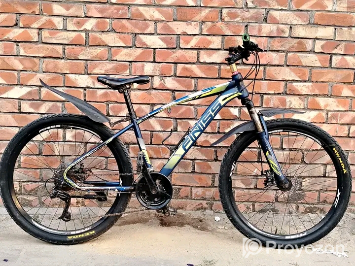 Finiss 26″ Gear cycle for sell.