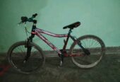 সাইকেল টি বিক্রি করে দিবো