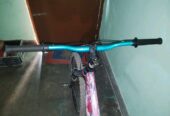 সাইকেল টি বিক্রি করে দিবো
