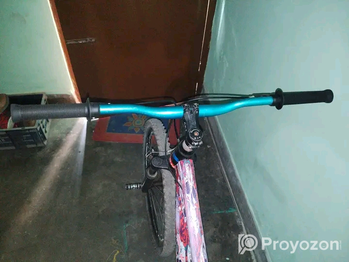 সাইকেল টি বিক্রি করে দিবো