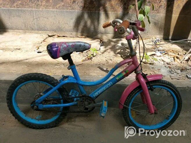 Baccader 16 size cycle bikri kora hobe