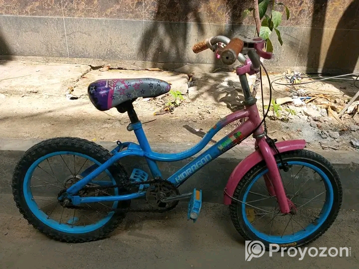 Baccader 16 size cycle bikri kora hobe