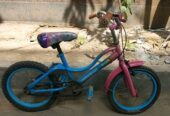 Baccader 16 size cycle bikri kora hobe