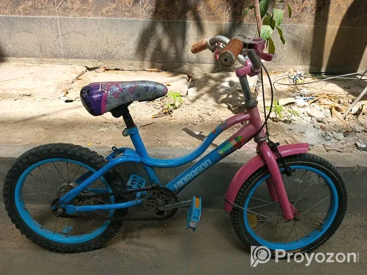 Baccader 16 size cycle bikri kora hobe
