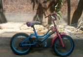 Baccader 16 size cycle bikri kora hobe