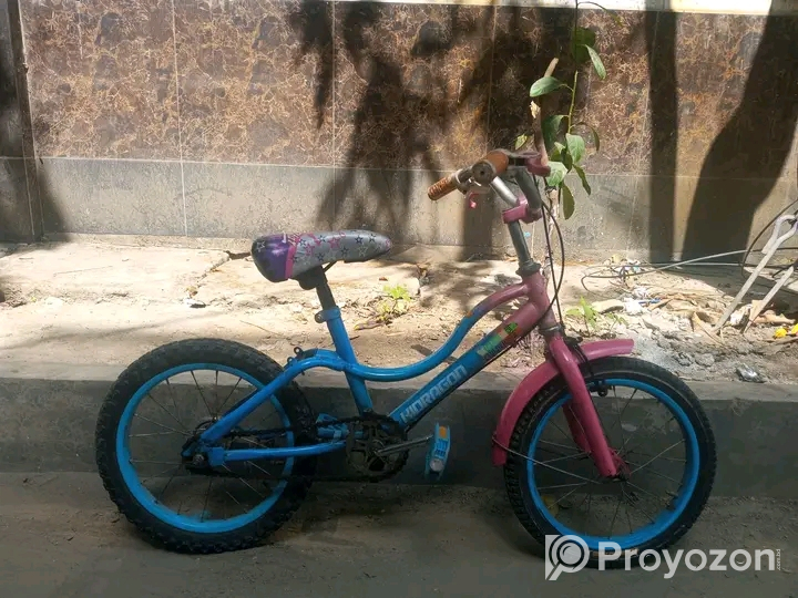 Baccader 16 size cycle bikri kora hobe