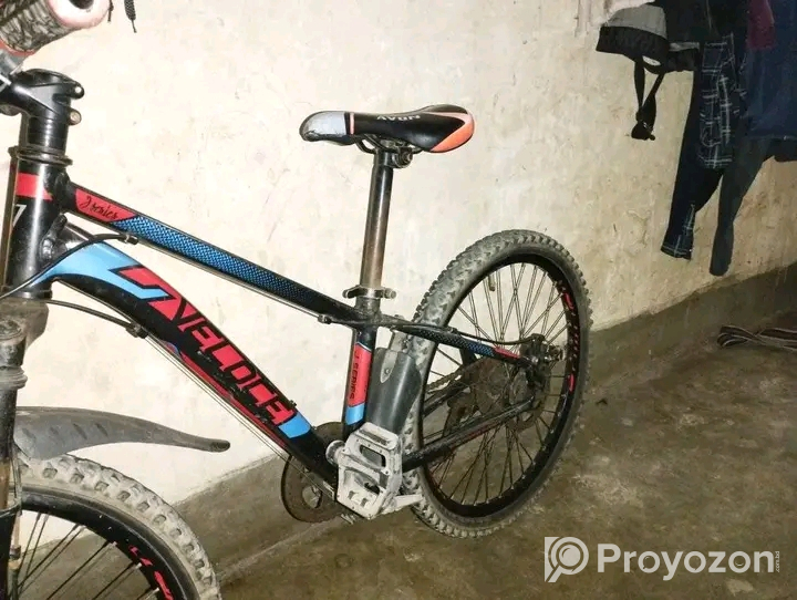 সাইকেল টি বিক্রি হবে