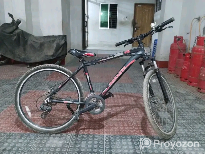 Duranta allan prime বিক্রি হবে