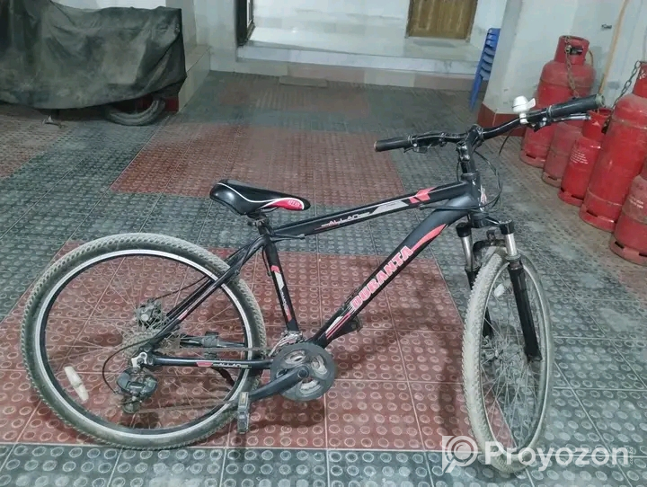 Duranta allan prime বিক্রি হবে