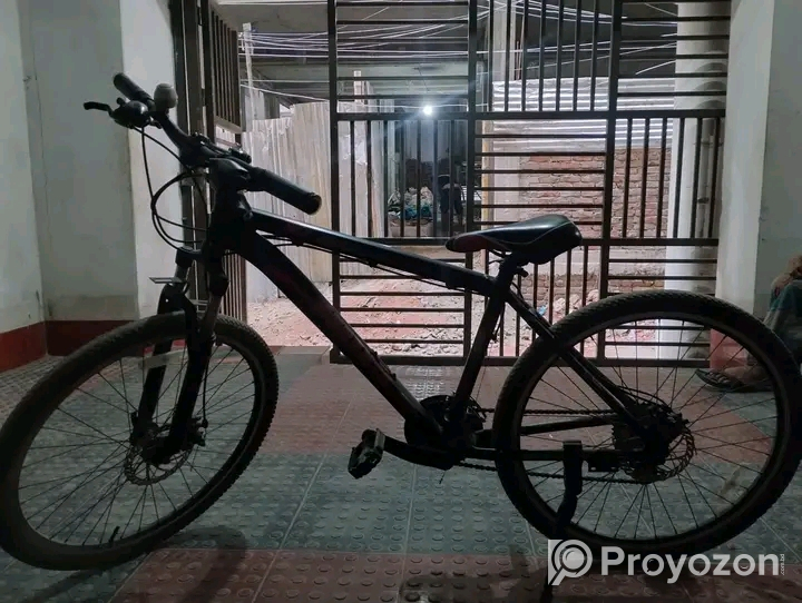 Duranta allan prime বিক্রি হবে