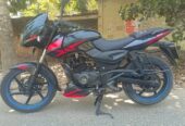 পালসার ১৫০ সিসি ডাবল ডিস্ক ২০১৯ মডেল