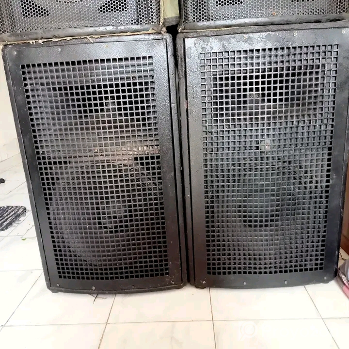 পিভির একজোড়া মনিটর সেল হবে