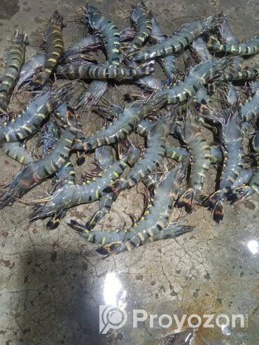 সাশ্রয়ী মূল্যে বাজার করুন বাজার বাড়ি থেকে