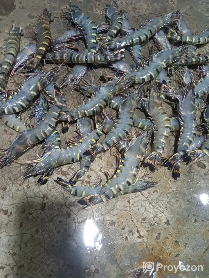 সাশ্রয়ী মূল্যে বাজার করুন বাজার বাড়ি থেকে