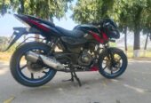 Pulsar DD 2019 Model
