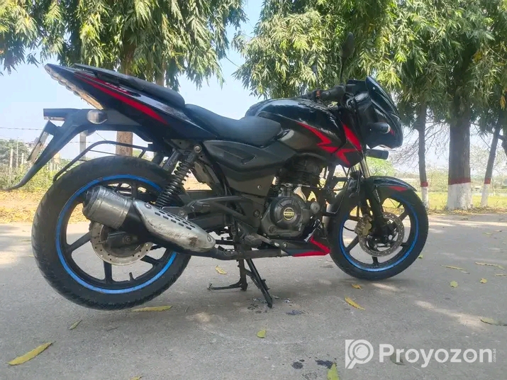 Pulsar DD 2019 Model