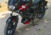 Pulsar DD 2019 Model