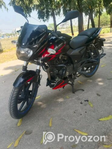 Pulsar DD 2019 Model