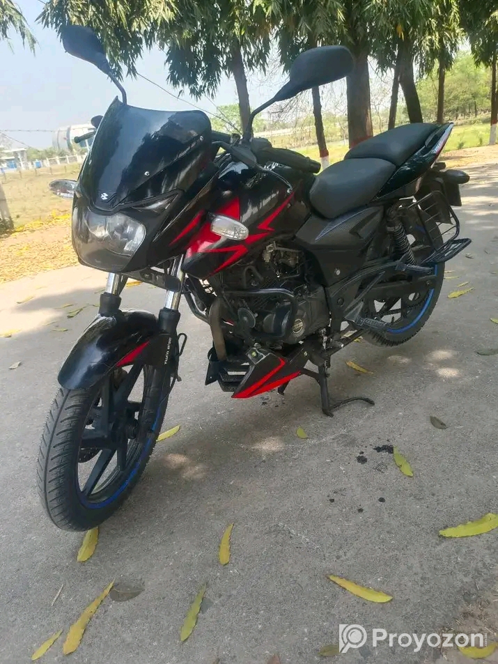 Pulsar DD 2019 Model